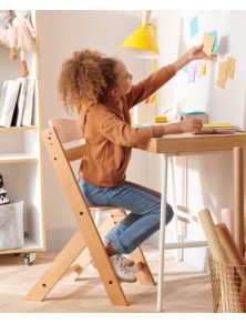 SEGGIOLONE MULTIFUNZIONALE E TRASFORMABILE ADATTO A BAMBINI DI TUTTE LE ETA' LEGGERO E MANEGGEVOLE