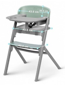 SEGGIOLONE ERGONOMICO ED EVOLUTIVO COMPRESO DI VASSOIO REMOVIBILE CON TAPPETINO IN SILICONE E DI BARRA DI SICUREZZA