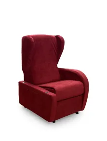 Poltrona Relax Anziani e Disabili, Alzata Persona, Kit Roller Elettrico e Braccioli Estraibili